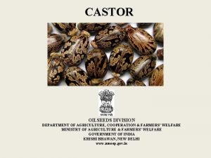 CASTOR OILSEEDS DIVISION DEPARTMENT OF AGRICULTURE COOPERATION FARMERS