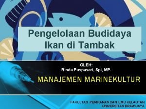 Pengelolaan Budidaya Ikan di Tambak OLEH Rinda Puspasari