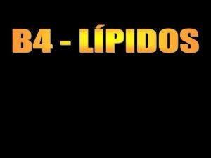 Lipidos parte hidrofobica e hidrofilica