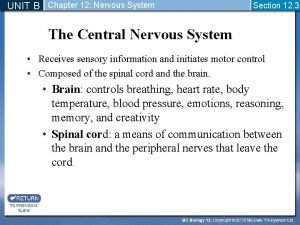 Nerve fiber
