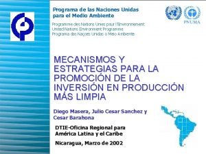 Programa de las Naciones Unidas para el Medio