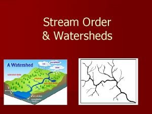 Stream Order Watersheds Watershed n A ridge of