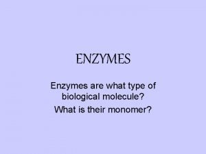 What type of biological molecule is an enzyme