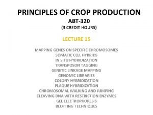 PRINCIPLES OF CROP PRODUCTION ABT320 3 CREDIT HOURS