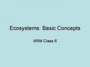 Ecosystems Basic Concepts NRM Class 6 What we