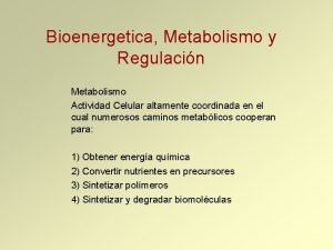 Bioenergetica Metabolismo y Regulacin Metabolismo Actividad Celular altamente
