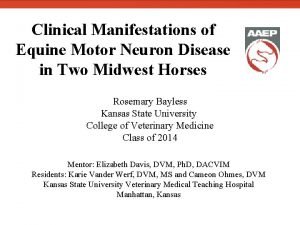 Equine motor neuron disease