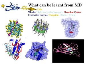 What can be learnt from MD Titin Micelle