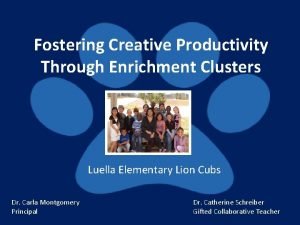 Fostering Creative Productivity Through Enrichment Clusters Luella Elementary