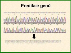 Predikce gen Syrov sekvence DNA Identifikace a anotace