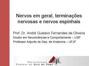 Dermatomos e miotomos Dermatomos e miotomos