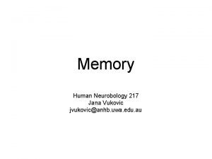 Memory Human Neurobology 217 Jana Vukovic jvukovicanhb uwa