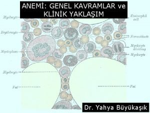 ANEM GENEL KAVRAMLAR ve KLNK YAKLAIM Dr Yahya