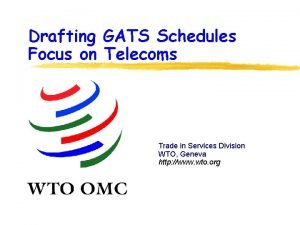 Drafting GATS Schedules Focus on Telecoms Trade in