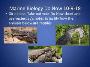 Marine Biology Do Now 10 9 18 Directions