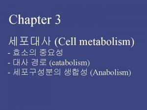 Substrate enzyme interaction