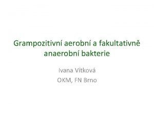 Grampozitivn aerobn a fakultativn anaerobn bakterie Ivana Vtkov