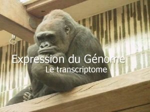 Expression du Gnome Le transcriptome Dchiffrage de lInformation