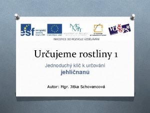 Urujeme rostliny 1 Jednoduch kl k urovn jehlinan