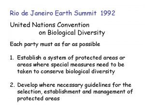 What is rio de janeiro earth summit 1992