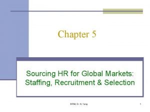 Determinants of staffing choices