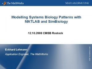 Matlab biological modelling