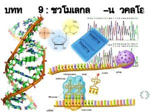 9 damentals of Biochemistry 4022103 Dr Worrawat Promden