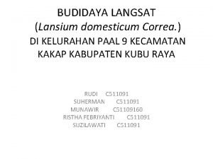 BUDIDAYA LANGSAT Lansium domesticum Correa DI KELURAHAN PAAL