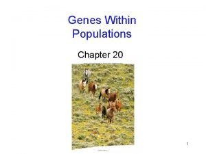 Genes Within Populations Chapter 20 1 Genetic Variation Genes Within Populations Chapter 20 1 Genetic Variation