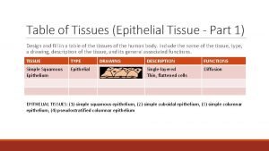 Epithelial tissue table