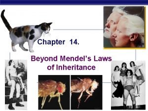 Chapter 14 Beyond Mendels Laws of Inheritance AP