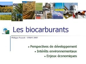 Les biocarburants Philippe Pouech ENSAT 2007 Perspectives de