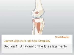 Ligament Balancing in Total Knee Arthroplasty Section1 Anatomy