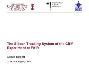 The Silicon Tracking System of the CBM Experiment