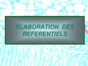 ELABORATION DES REFERENTIELS 1 CREATION DUN DIPLOME PHASE