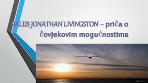 Citati galeb jonathan livingston