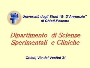 Universit degli Studi G DAnnunzio di ChietiPescara Dipartimento