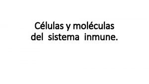 Clulas y molculas del sistema inmune Respuesta inmunolgica