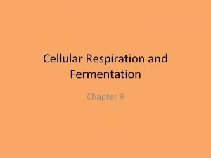 Cellular Respiration and Fermentation Chapter 9 Where do
