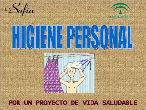 POR UN PROYECTO DE VIDA SALUDABLE La palabra