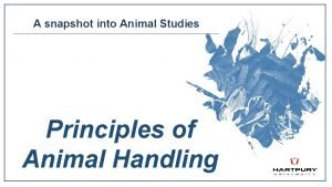 A snapshot into Animal Studies Principles of Animal