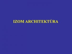 IZOM ARCHITEKTRA TPUSOK Tollazottsgi szg Aponeurosis Rostok Aponeurosis