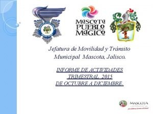 Jefatura de Movilidad y Trnsito Municipal Mascota Jalisco