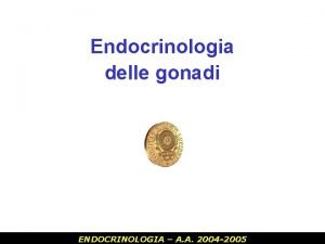 Endocrinologia delle gonadi ENDOCRINOLOGIA A A 2004 2005