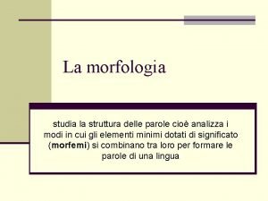 Morfologia Morfologia