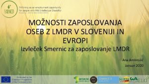 MONOSTI ZAPOSLOVANJA OSEB Z LMDR V SLOVENIJI IN