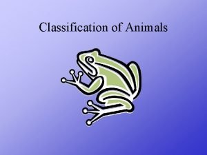 Classification of Animals Animals With Backbones AMPHIBIAN FISH