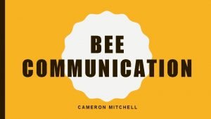 BEE COMMUNICATION CAMERON MITCHELL STUDENT LEARNING OBJECTIVES Students