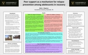Peer support as a mechanism for relapse prevention