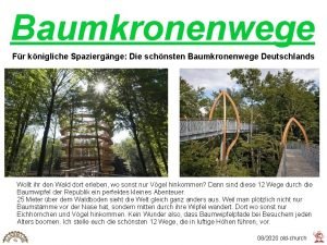 Baumkronenwege Fr knigliche Spaziergnge Die schnsten Baumkronenwege Deutschlands
